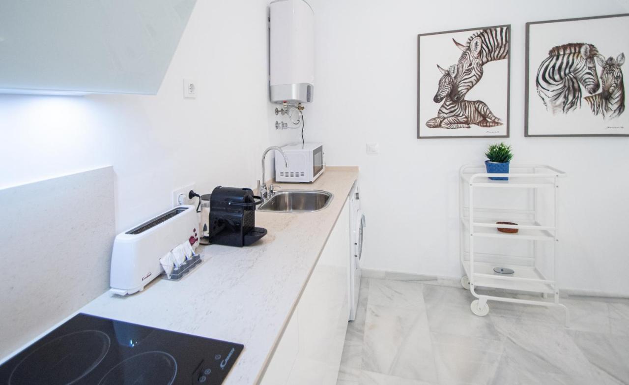 Apartamento Animalia Cádiz Kültér fotó