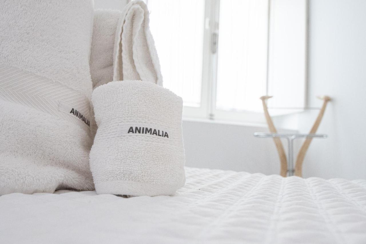 Apartamento Animalia Cádiz Kültér fotó