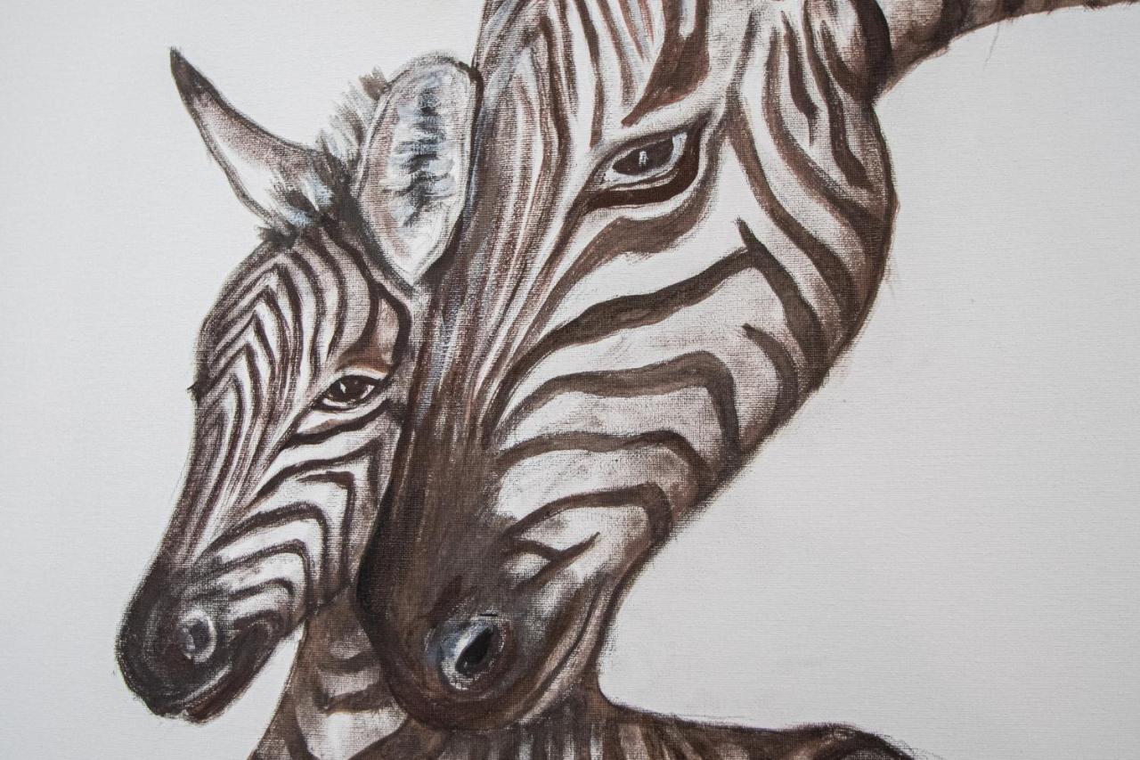 Apartamento Animalia Cádiz Kültér fotó